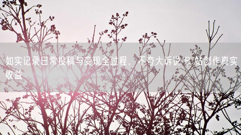 如实记录日常投稿与变现全过程，不夸大诉说 B 站创作真实收益