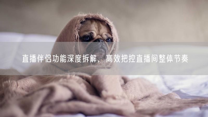 直播伴侣功能深度拆解，高效把控直播间整体节奏