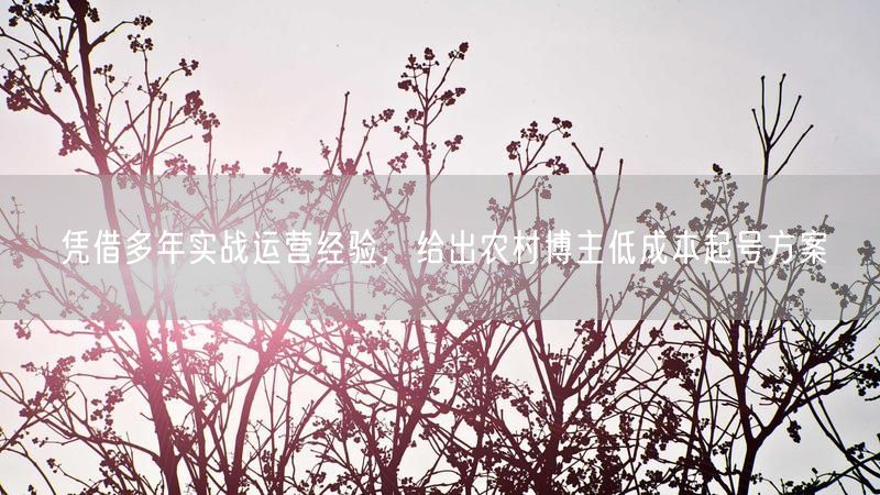 实战运营经验揭秘：农村博主低成本起号与流量增长