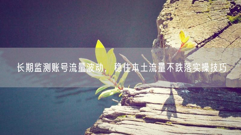 长期监测账号流量波动，稳住本土流量不跌落实操技巧