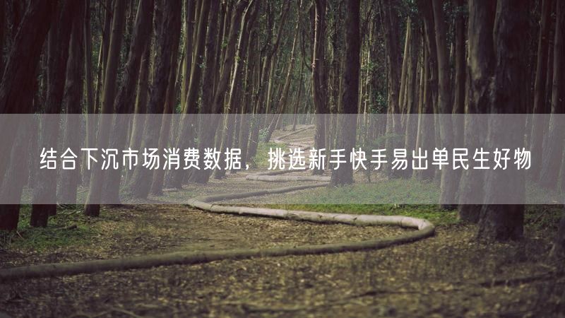 结合下沉市场消费数据，挑选新手快手易出单民生好物