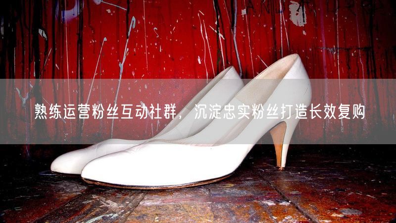 熟练运营粉丝互动社群，沉淀忠实粉丝打造长效复购