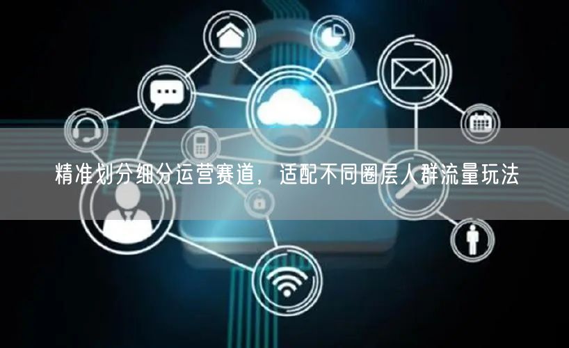 精准运营：细分赛道，适配圈层人群流量玩法