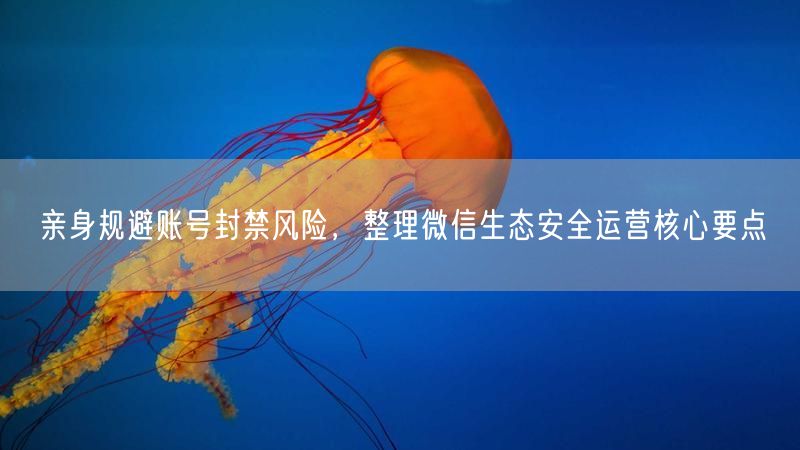 亲身规避账号封禁风险,整理微信生态安全运营核心要点