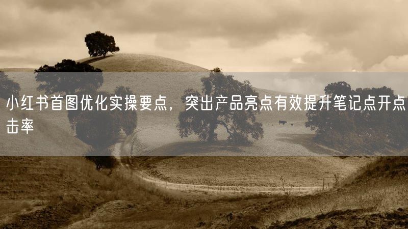 小红书首图优化技巧：突出亮点，轻松提升笔记点击率