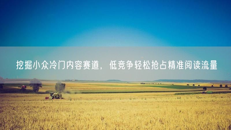 小众冷门内容赛道：低竞争，精准流量轻松抢占