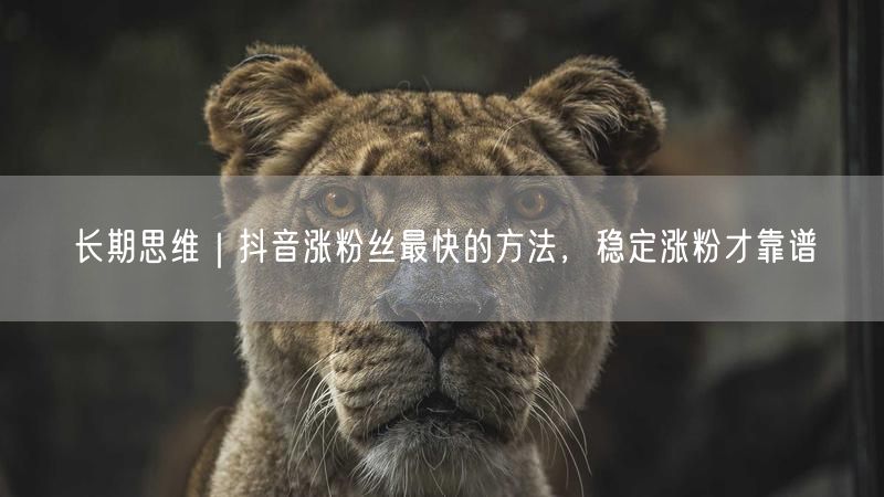 长期思维｜抖音涨粉丝最快的方法，稳定涨粉才靠谱