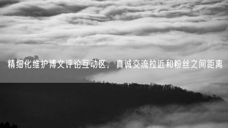 精细化维护博文评论互动区，真诚交流拉近和粉丝之间距离