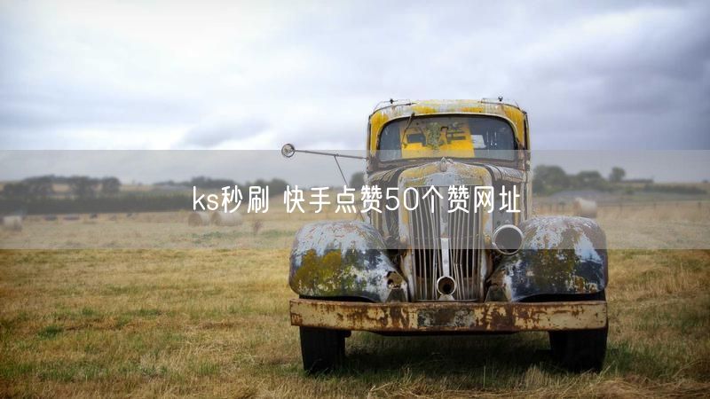 ks秒刷 快手点赞50个赞网址