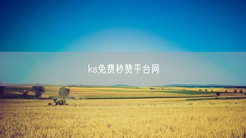 ks免费秒赞平台网