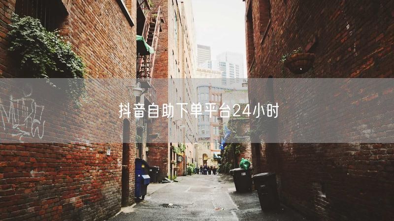 抖音自助下单平台24小时