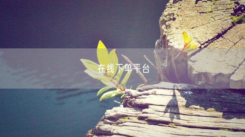 在线下单平台