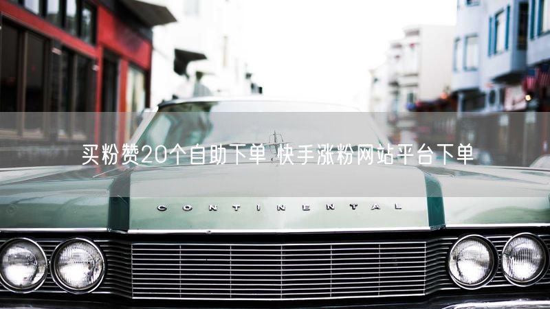买粉赞20个自助下单 快手涨粉网站平台下单