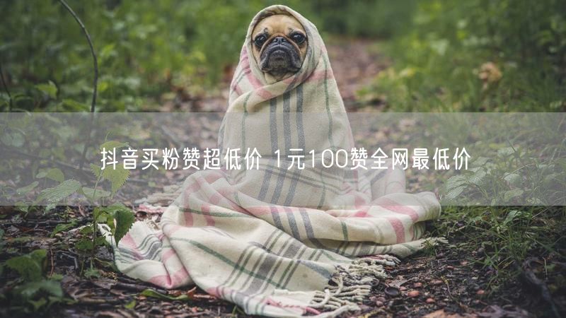 抖音买粉赞超低价 1元100赞全网最低价