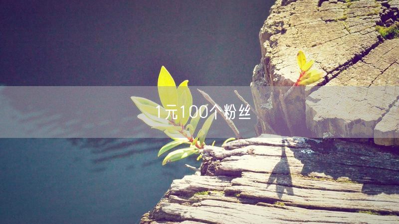 1元100个粉丝