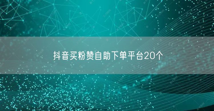 抖音买粉赞自助下单平台20个