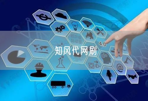 知风代网刷