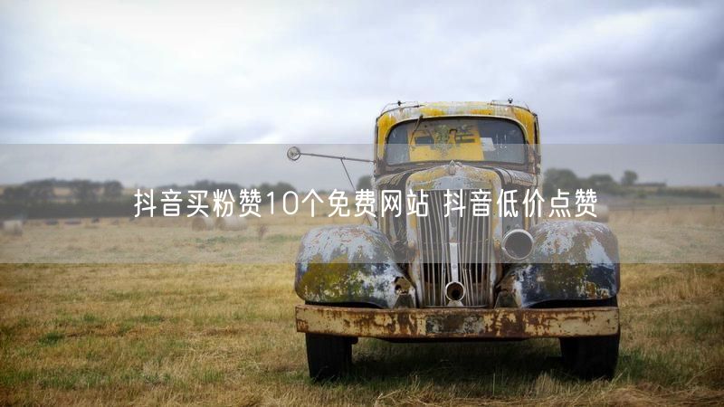 抖音买粉赞10个免费网站 抖音低价点赞