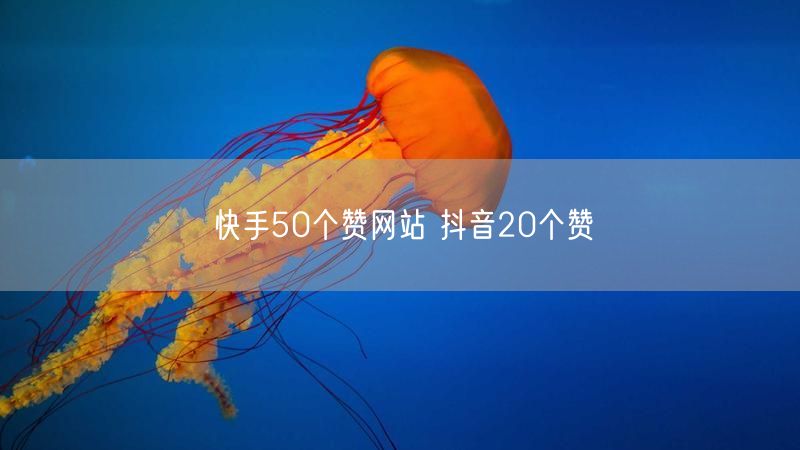 快手50个赞网站 抖音20个赞