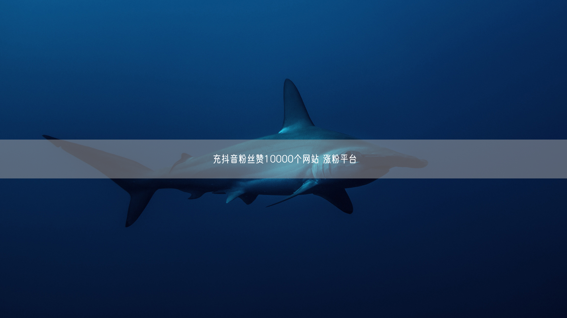 充抖音粉丝赞10000个网站 涨粉平台