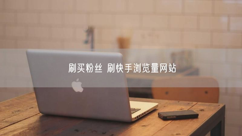 刷买粉丝 刷快手浏览量网站