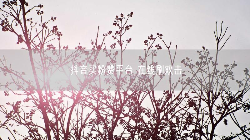 抖音买粉赞平台 在线刷双击