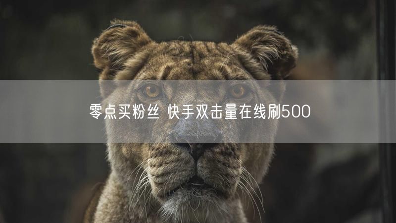 零点买粉丝 快手双击量在线刷500