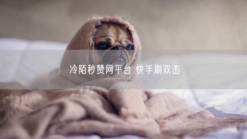冷陌秒赞网平台 快手刷双击
