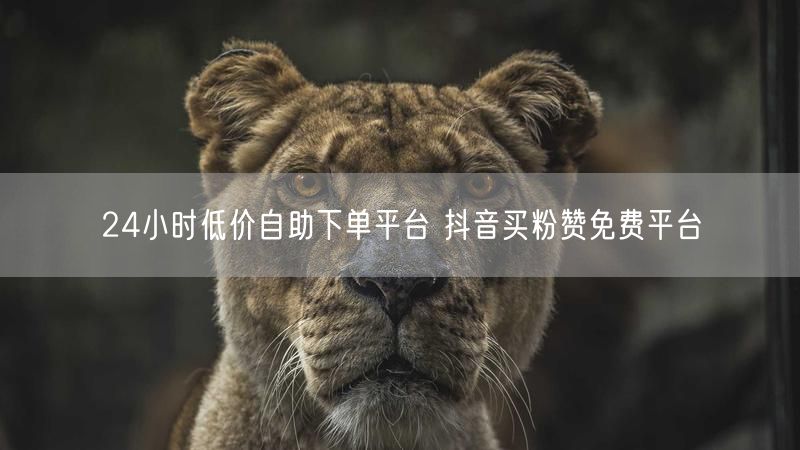 24小时低价自助下单平台 抖音买粉赞免费平台