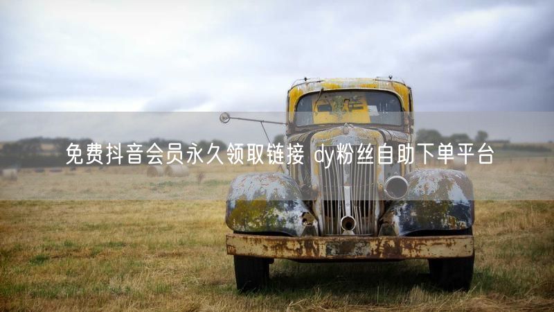 免费抖音会员永久领取链接 dy粉丝自助下单平台
