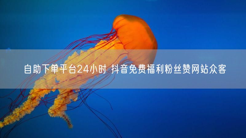 自助下单平台24小时 抖音免费福利粉丝赞网站众客