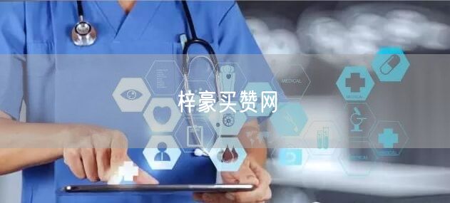 梓豪买赞网