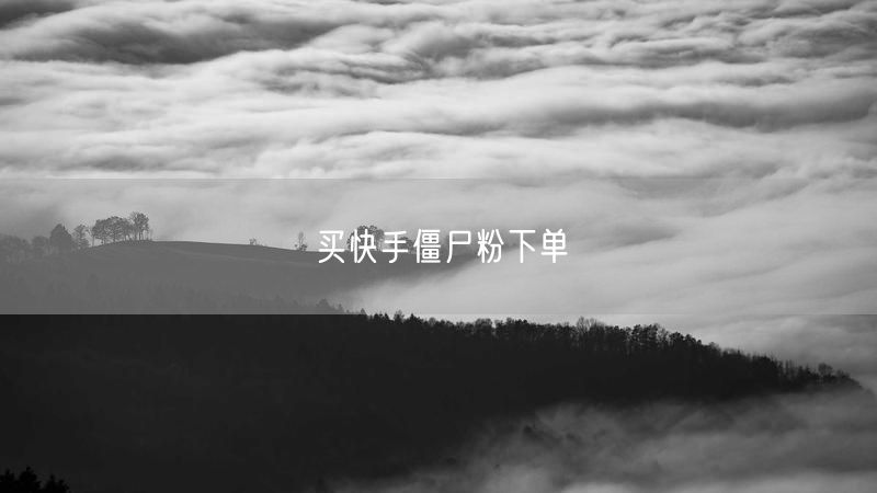 买快手僵尸粉下单