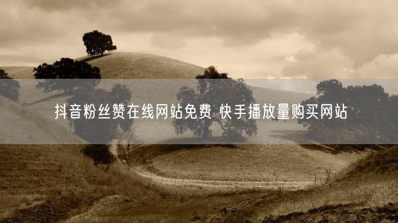 抖音粉丝赞在线网站免费 快手播放量购买网站