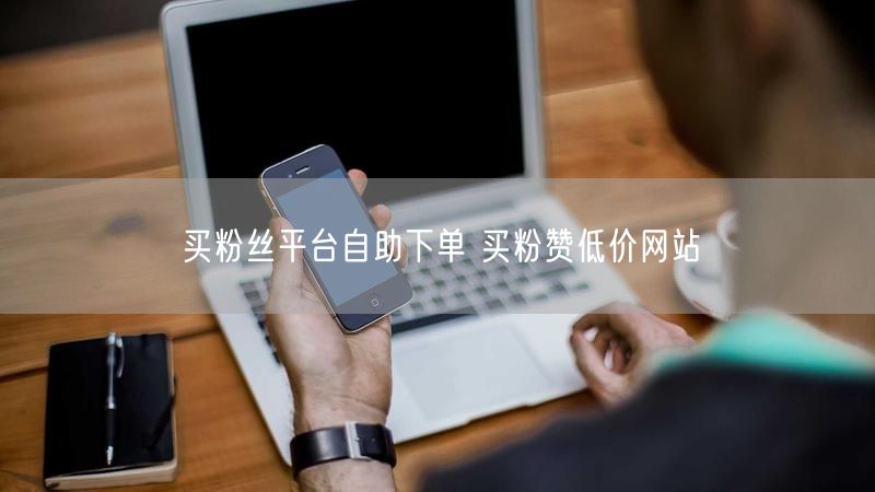 买粉丝平台自助下单 买粉赞低价网站