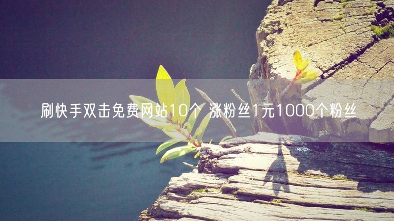 刷快手双击免费网站10个 涨粉丝1元1000个粉丝