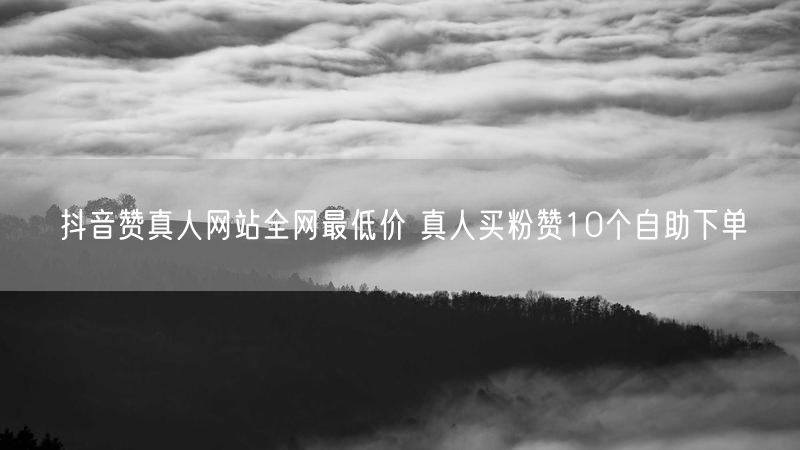 抖音赞真人网站全网最低价 真人买粉赞10个自助下单