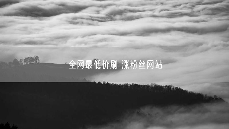 全网最低价刷 涨粉丝网站