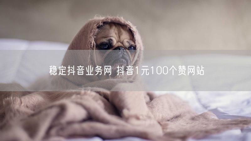 稳定抖音业务网 抖音1元100个赞网站