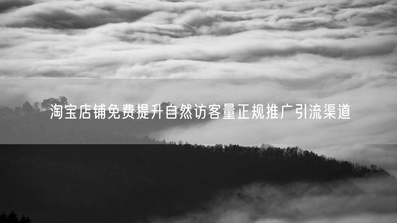 淘宝店铺免费提升自然访客量正规推广引流渠道