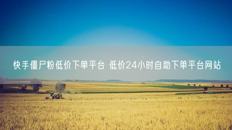 快手僵尸粉低价下单平台 低价24小时自助下单平台网站
