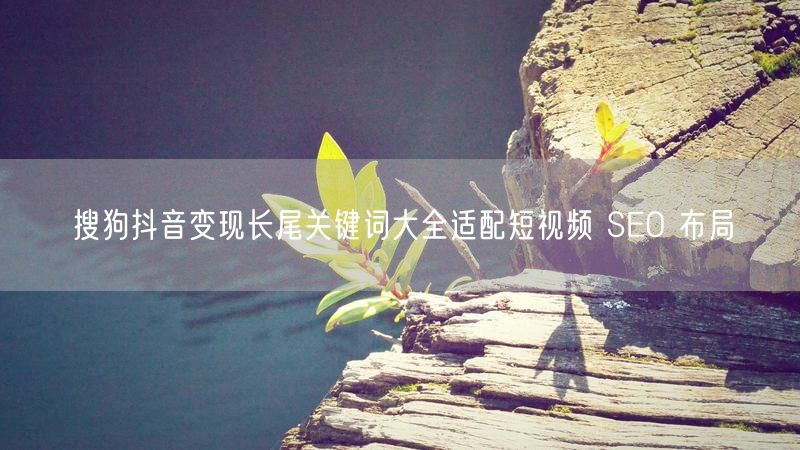 搜狗抖音变现长尾关键词大全适配短视频 SEO 布局