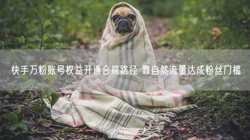 快手万粉账号权益开通合规路径 靠自然流量达成粉丝门槛