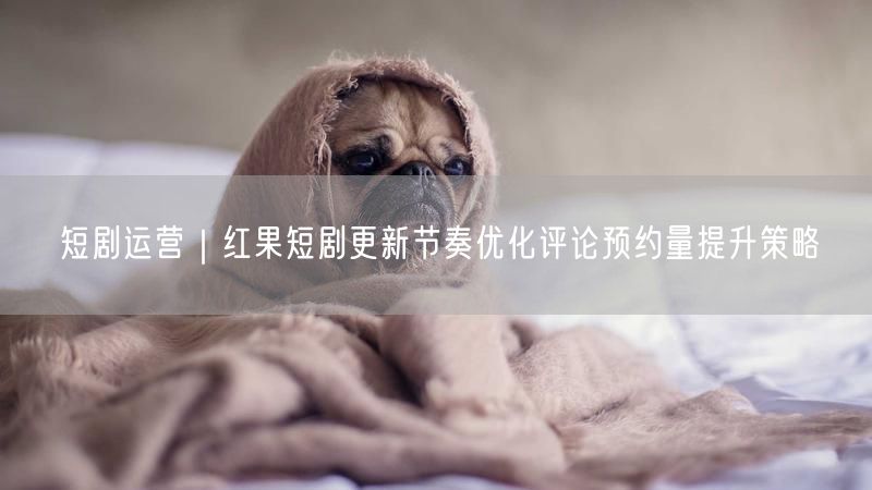 短剧运营｜红果短剧更新节奏优化评论预约量提升策略