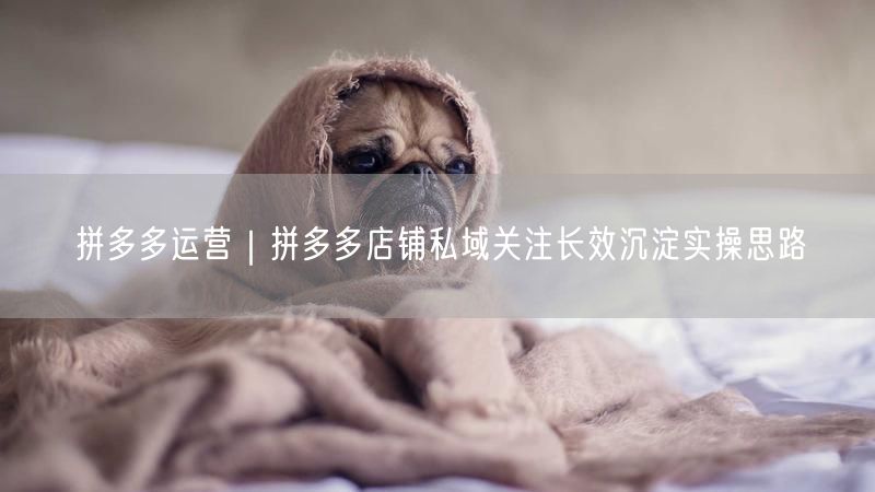 拼多多运营｜拼多多店铺私域关注长效沉淀实操思路