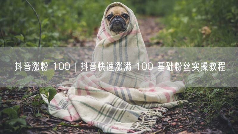 抖音涨粉 100｜抖音快速涨满 100 基础粉丝实操教程