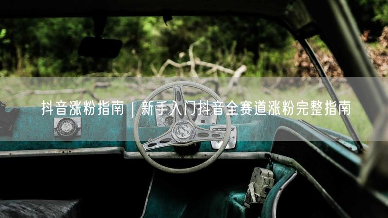 抖音涨粉指南｜新手入门抖音全赛道涨粉完整指南