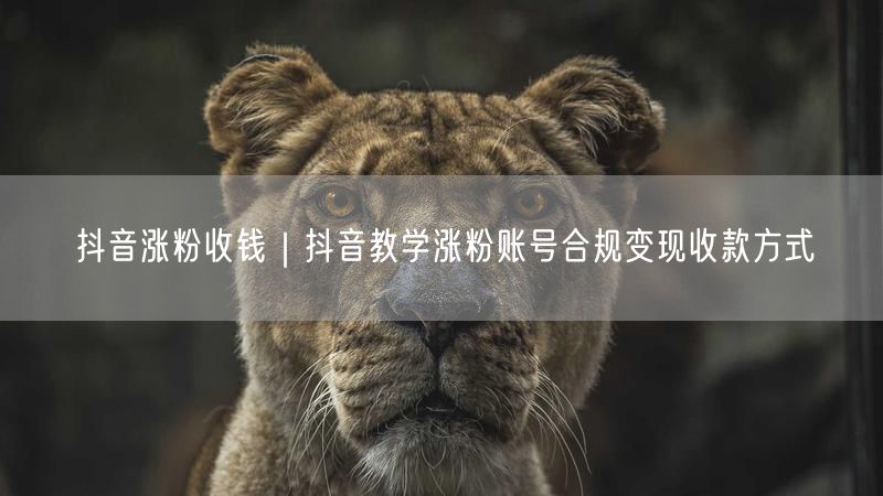 抖音涨粉收钱|抖音教学涨粉账号合规变现收款方式