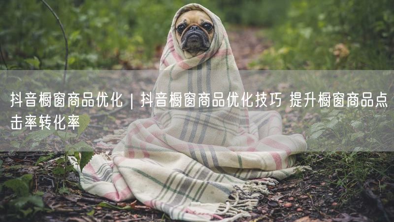 抖音橱窗商品优化｜抖音橱窗商品优化技巧 提升橱窗商品点击率转化率