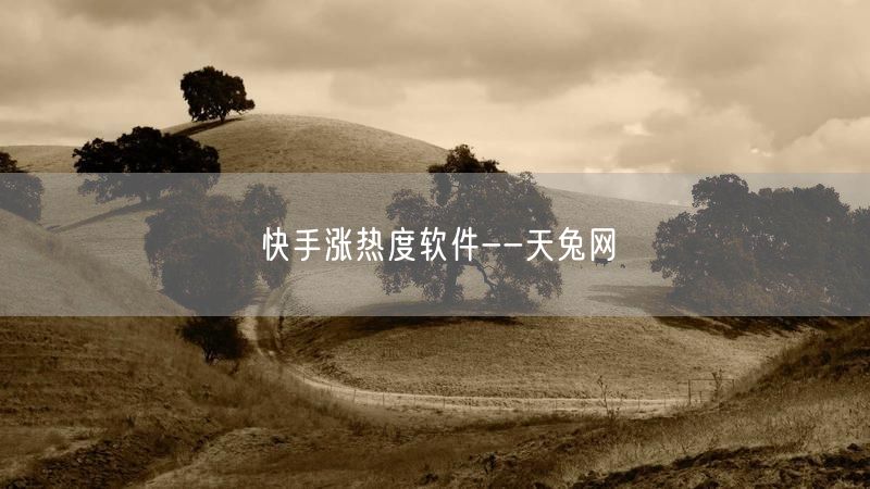 快手涨热度软件--天兔网